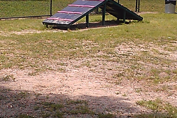 Dog Park at Rowlett Park photo 2